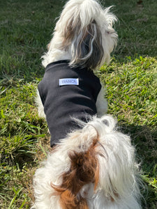Regata Pet Basiquinha